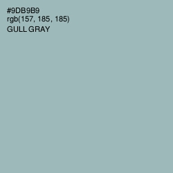 #9DB9B9 - Gull Gray Color Image